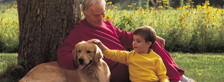 Grandpa, grandson and dog sitting by a tree.